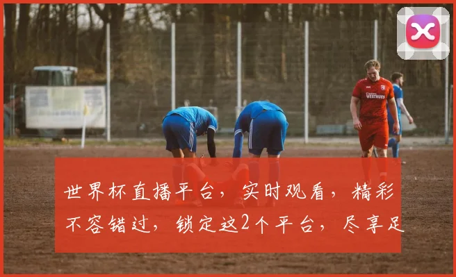 世界杯直播平台，实时观看，精彩不容错过，锁定这2个平台，尽享足球盛宴