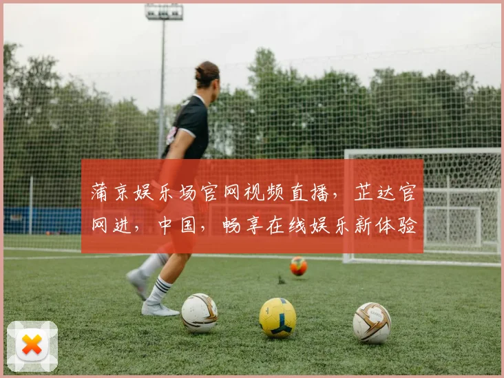 蒲京娱乐场官网视频直播，芷达官网进，中国，畅享在线娱乐新体验，尽在指尖。
